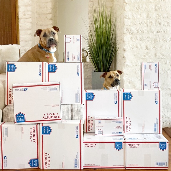 about me β’ queen b rocks! πππ - Picture 8 of 13